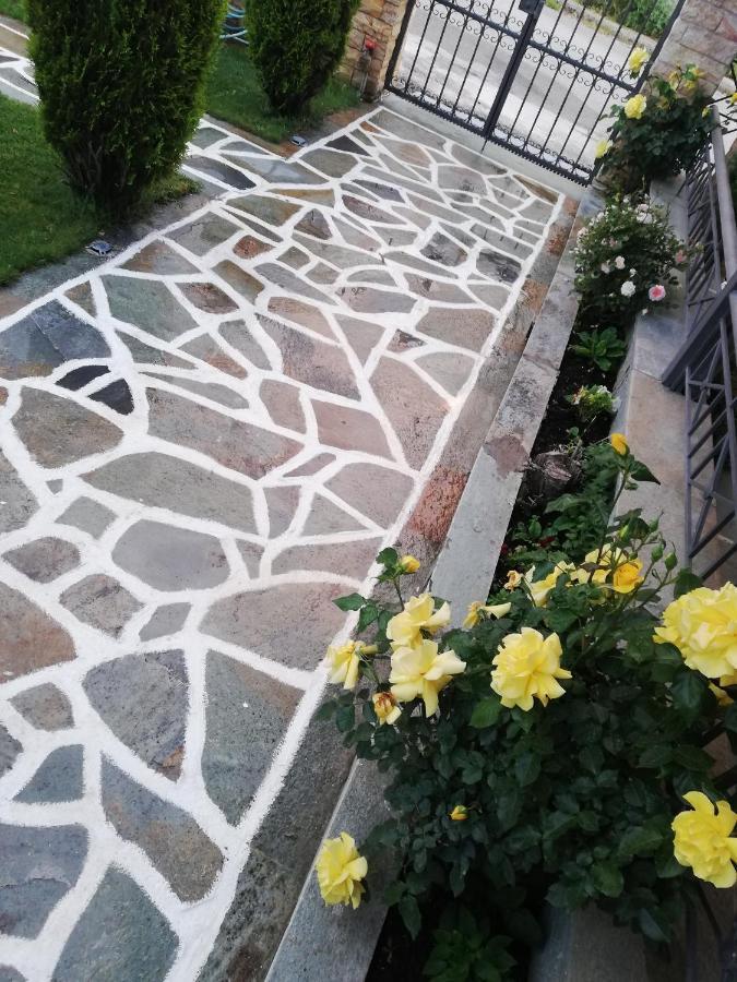 Voula Home -Ioannina-Neokesaria エクステリア 写真